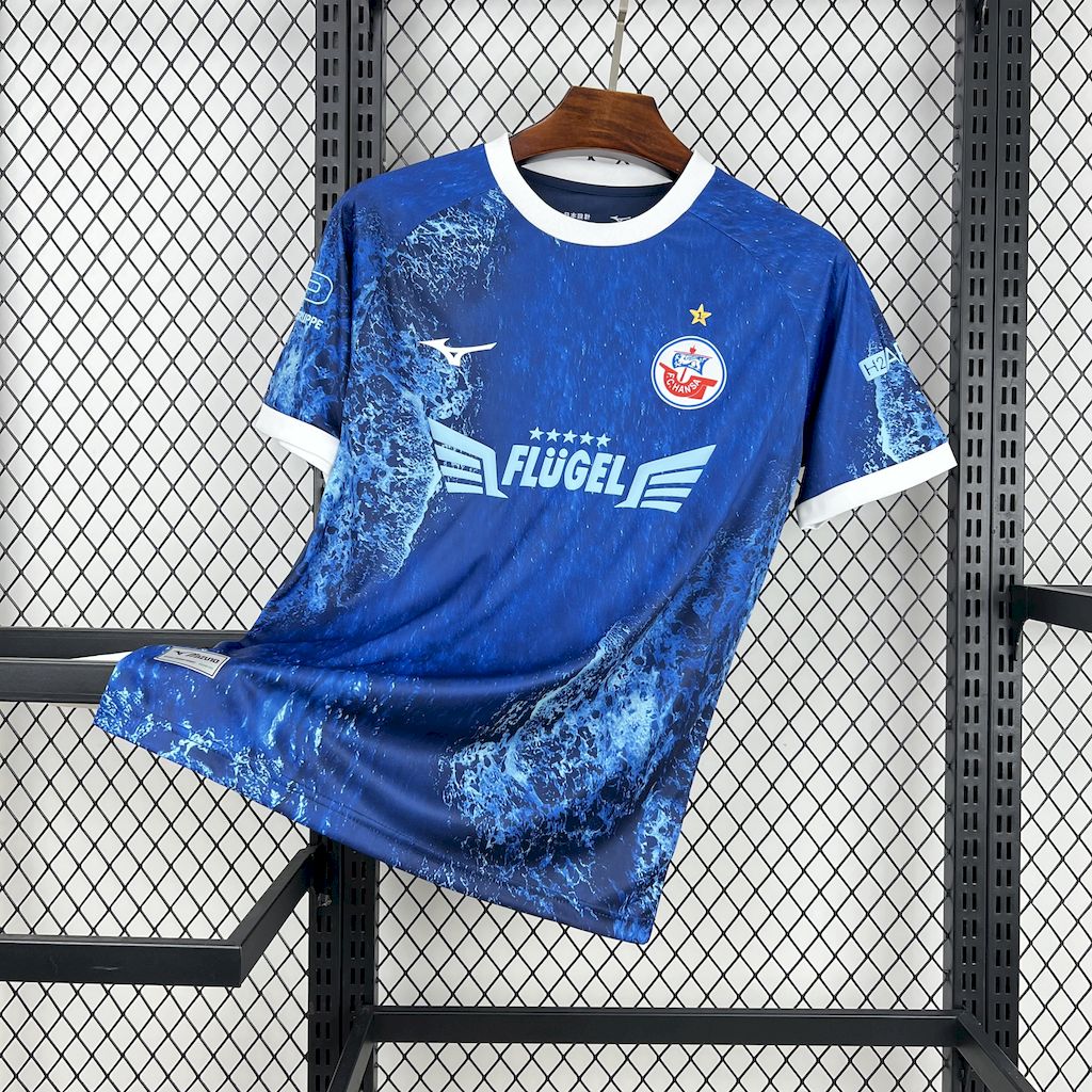FC Hansa Rostock - SHEYEEPY TRADING LIMITED